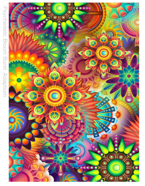 Psychedelic Bloom Burst Transfer Paper CTP
