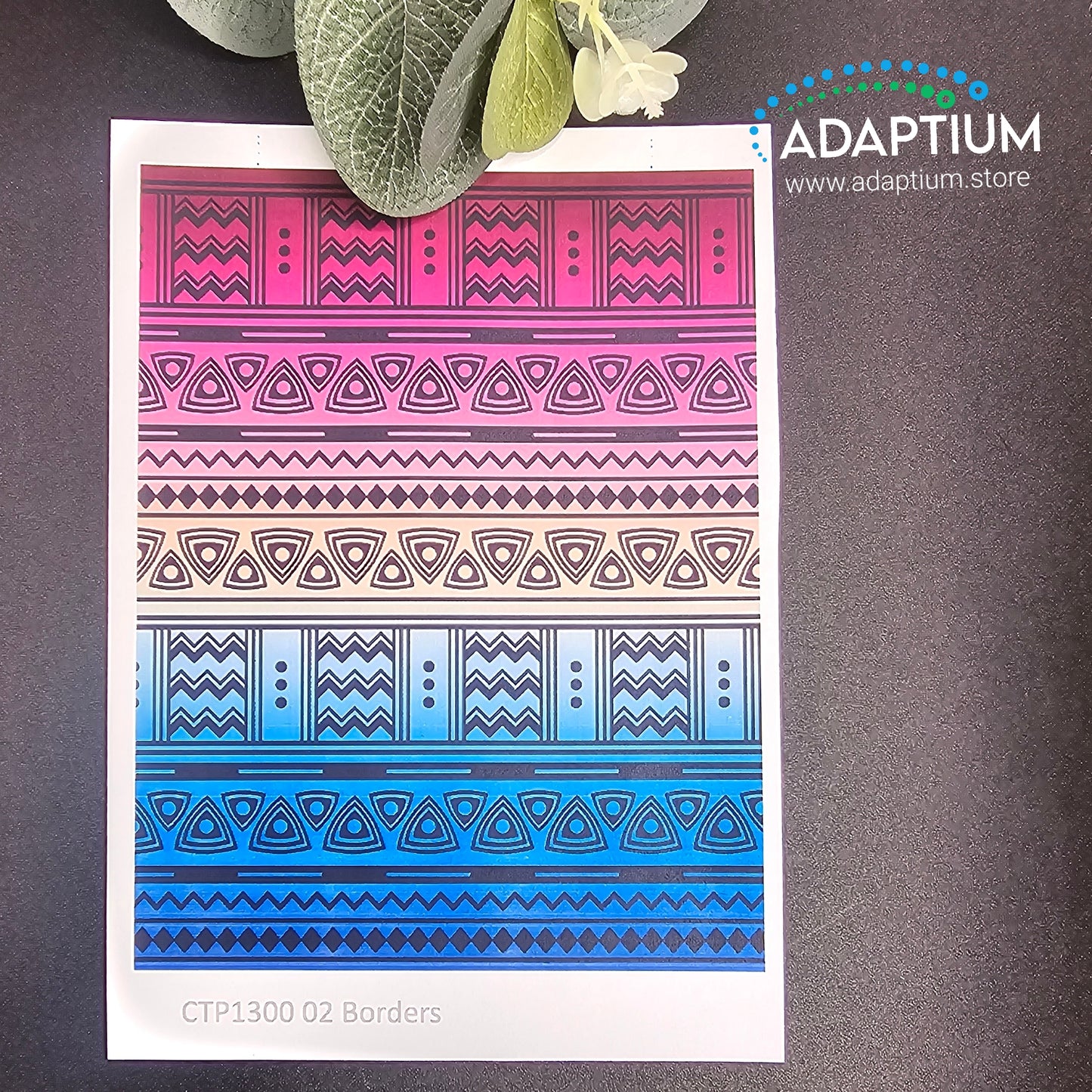 CTP1300 02 Borders Transfer Paper