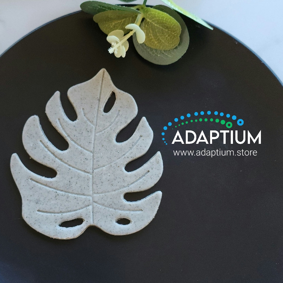 Monstera Trinket Dish 100mm KPKDTD