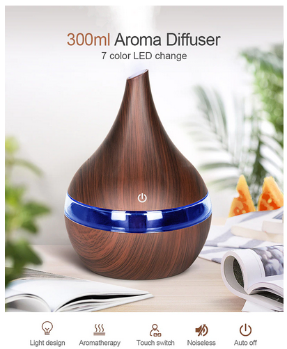 Mini USB Humidifier